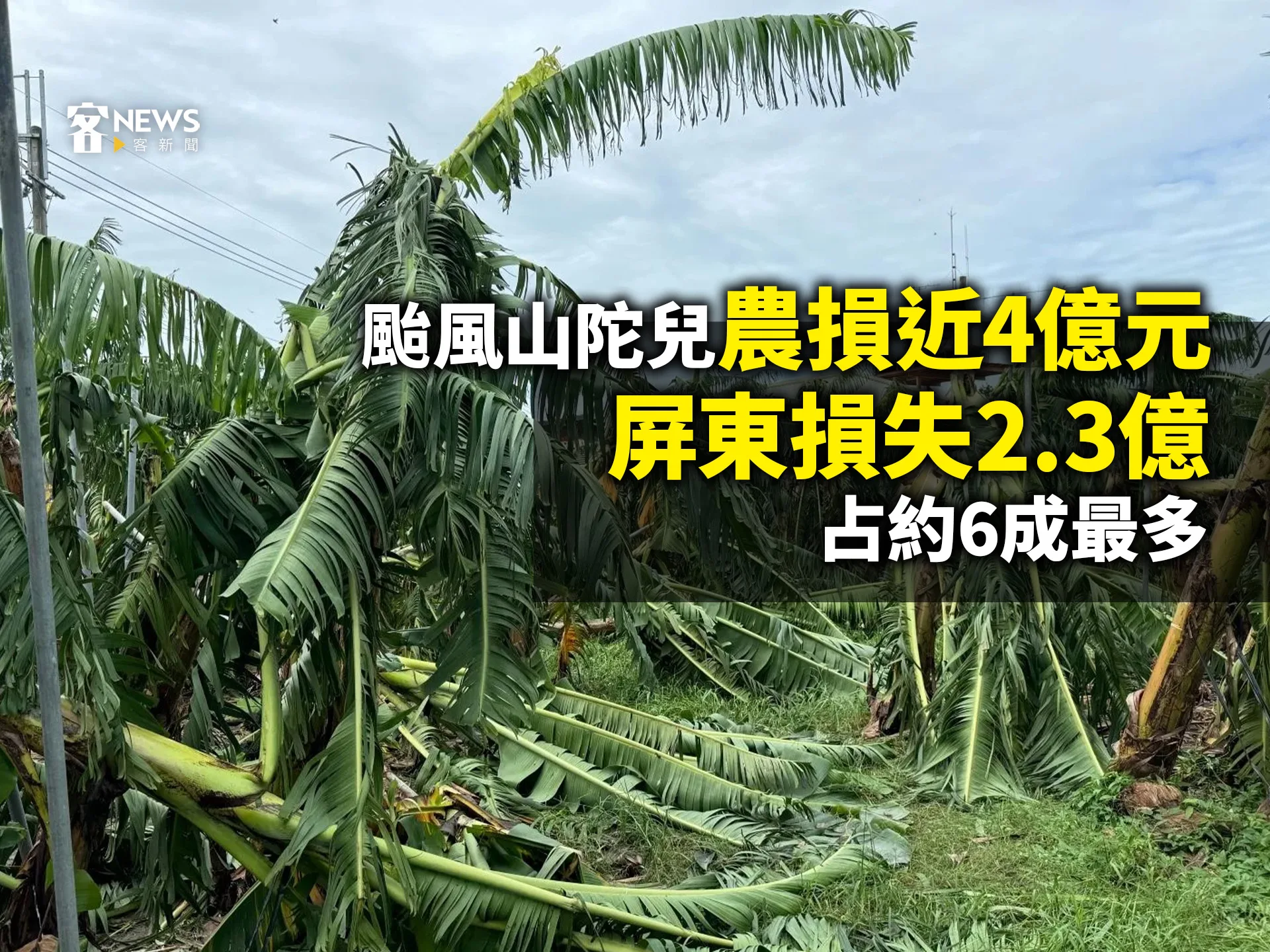 颱風山陀兒農損近4億元　屏東損失2.3億占約6成最多