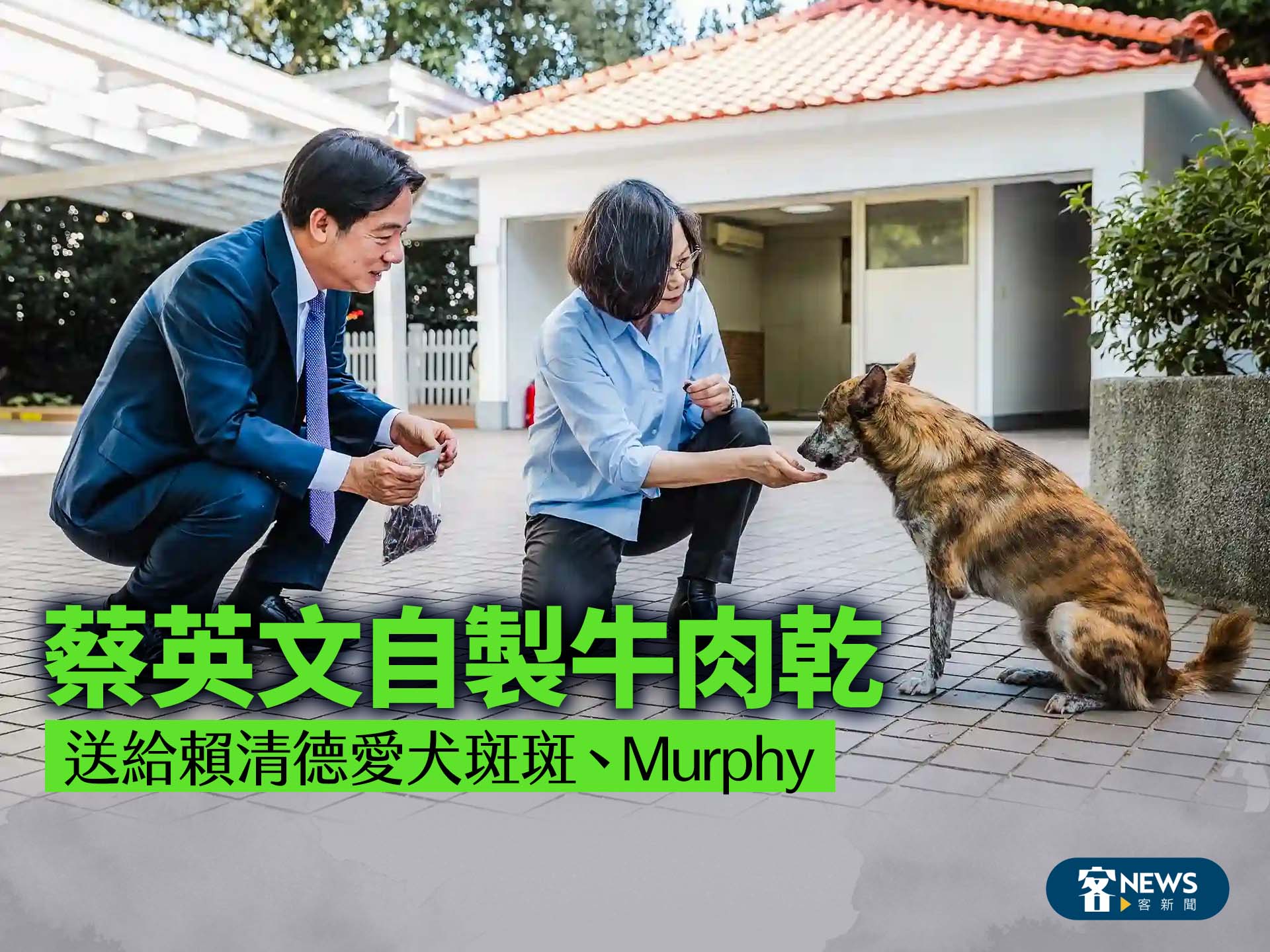 蔡英文自製牛肉乾　送給賴清德愛犬斑斑、Murphy