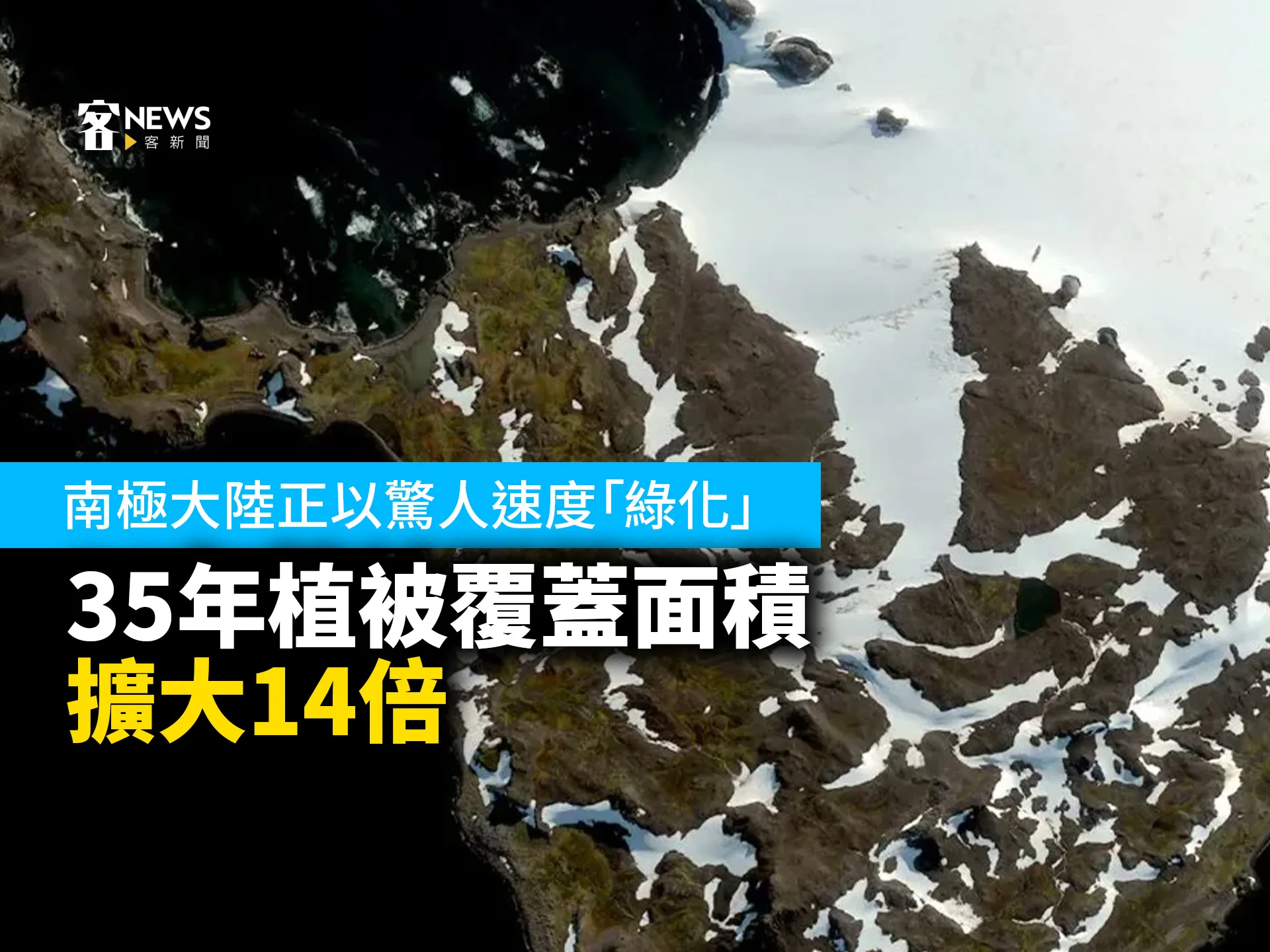 南極大陸正以驚人速度「綠化」　35年植被覆蓋面積擴大14倍