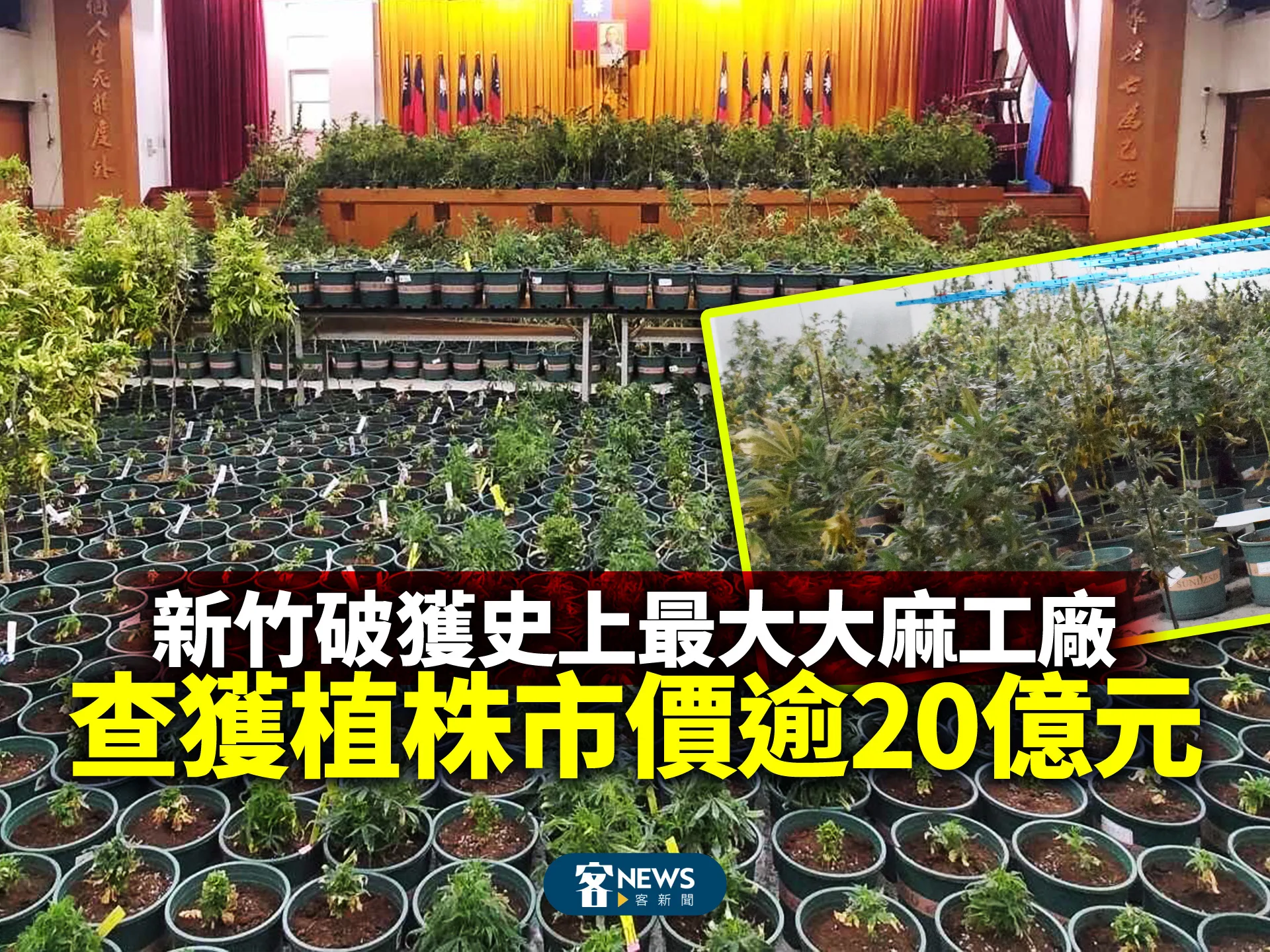 新竹破獲史上最大大麻工廠　查獲植株市價逾20億元