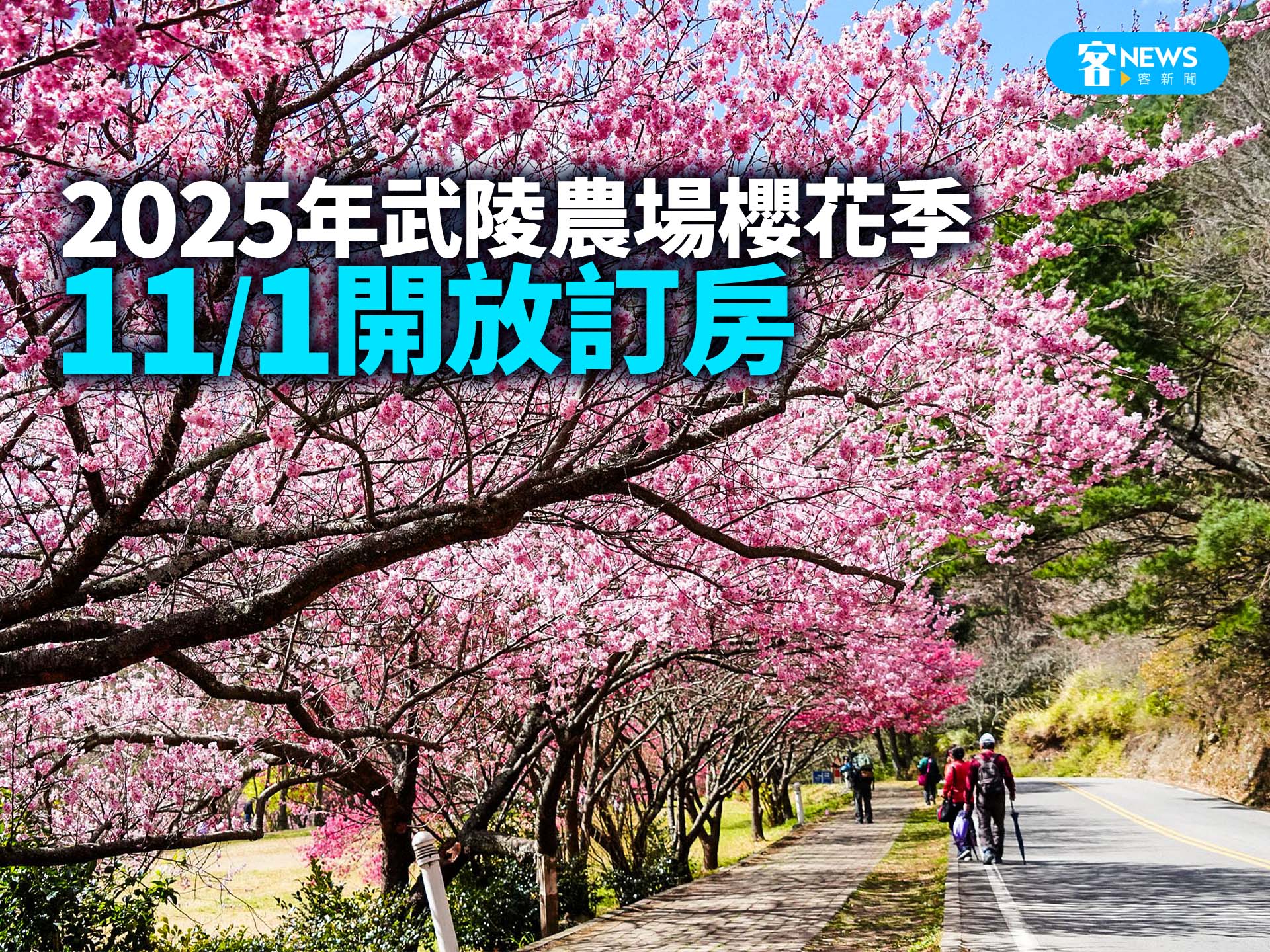 2025年武陵農場櫻花季　11／1開放訂房